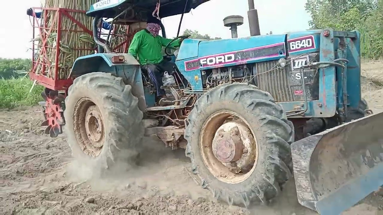 มาดูเสี่ยมืดปลูกอ้อยกันวันนี้1ไร่นิดๆ ฟร์อด6640