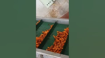 máy rửa nghệ, máy rửa gừng siêu sạch lh 0986070758