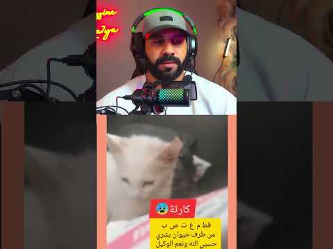 شوفو معامن عايشين مش مسكين مرحموهش