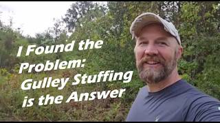 Land Management: Rehabilitating A Vernal Pool With Gully Stuffing