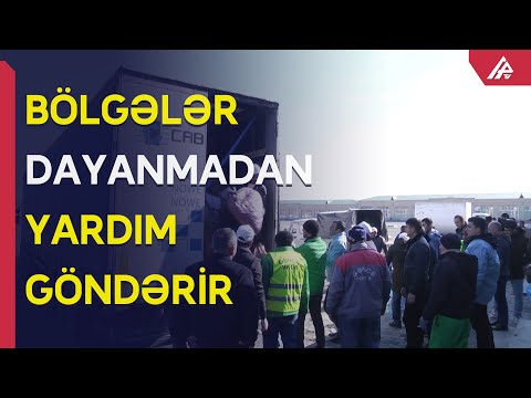 Video: Kimdir yorğan gödəkçə. Yorğan gödəkçələr və koloradolar - bu kimdir?