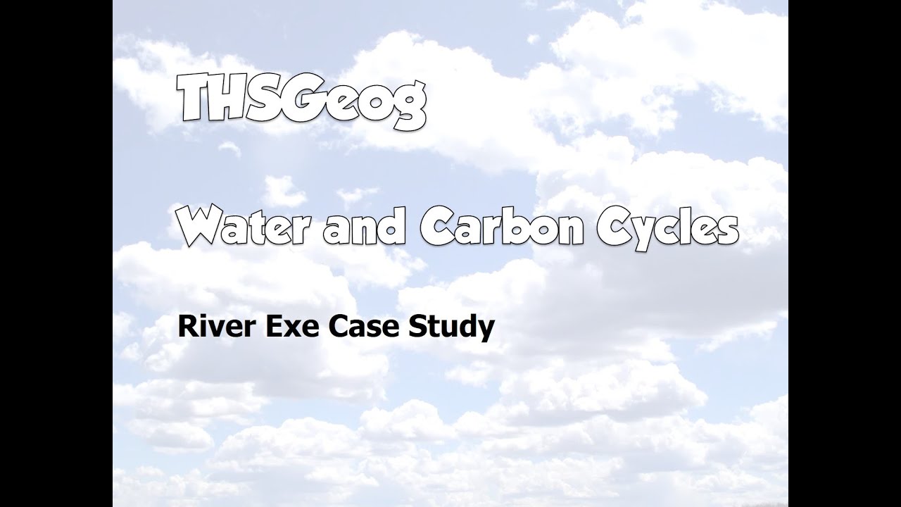 river exe case study geography a level