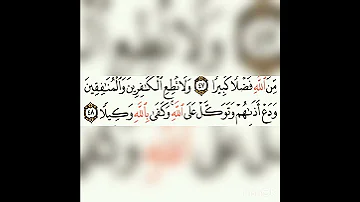 تلاوة رائعه الشيخ حجاج هنداوي 