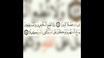تلاوة رائعه الشيخ حجاج هنداوي