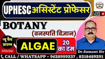 UPHESC assistant professor botany 2025|ASS. PRO BOTANY NEW SYLLABUS ||Algae SET