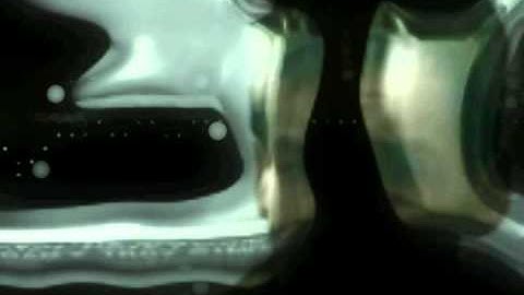 ColDotsTaxidermiaSensorialOverload