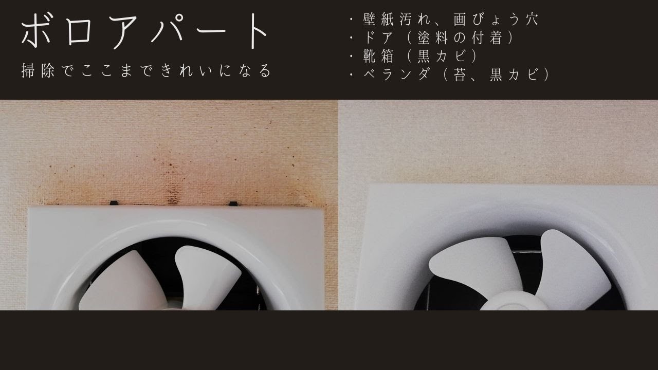 ボロアパート 掃除でここまできれいになる 壁紙汚れ落とし 壁紙補修パテ 靴箱のカビ取り ベランダの苔取り Youtube
