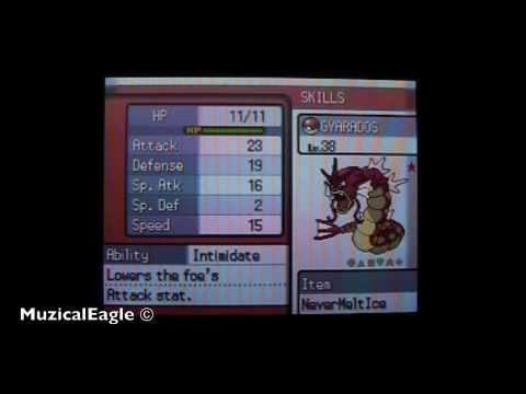 Unlimited Item Cheat in Pokemon Heartgold/Soulsilver (Action Replay Code) 