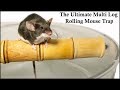 The Ultimate Multi Log Rolling Mousetrap. Mousetrap Monday