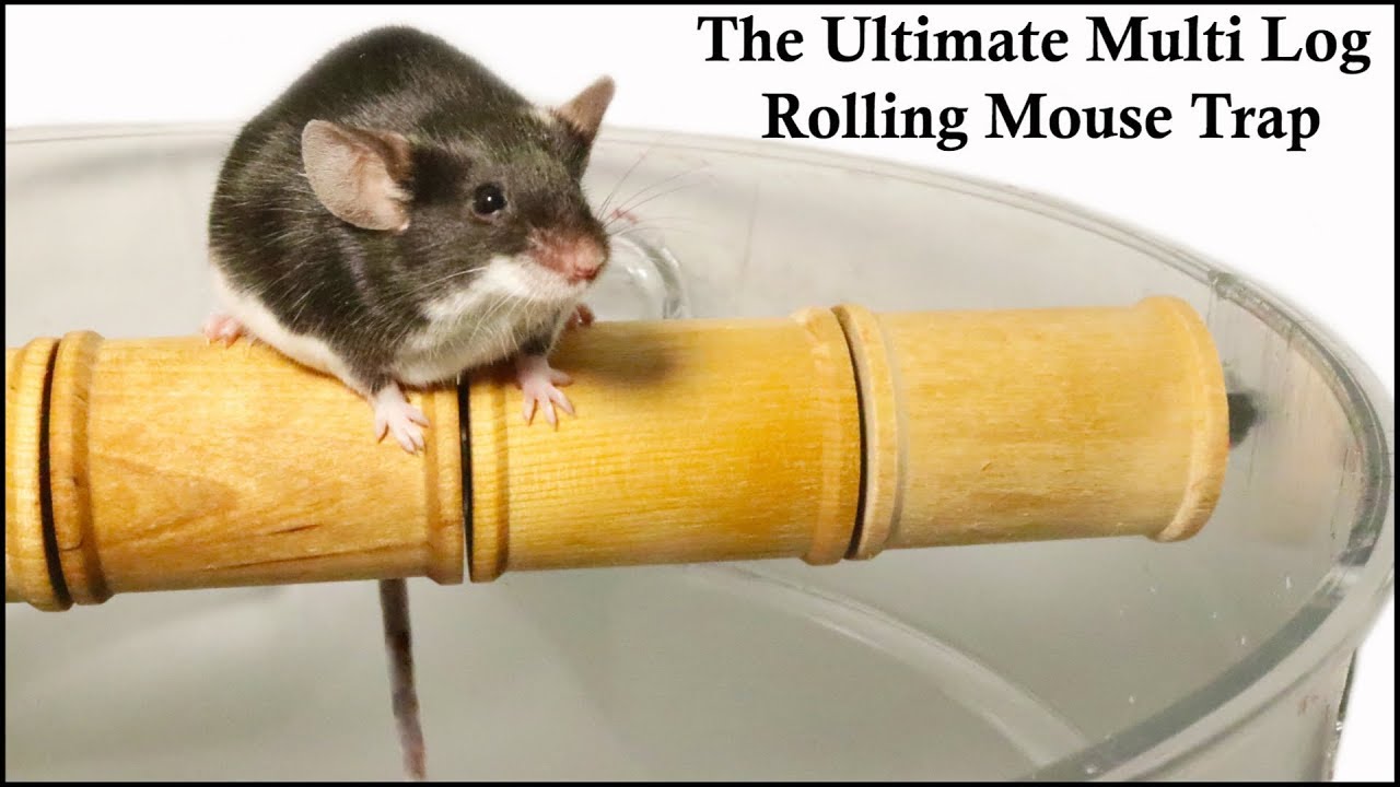 Ultimate Mouse Trap the Multi Log Rolling Mouse Trap 