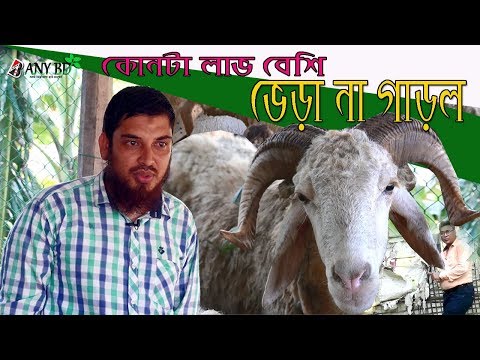 ভিডিও: কীভাবে নিরাপদে একটি গাড়ি বিক্রি করবেন: আইনি প্রবিধান, কী বিবেচনা করতে হবে, আইনি পরামর্শ৷