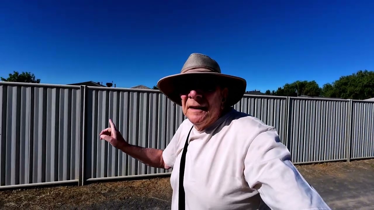 Morning walk 6th February 2026