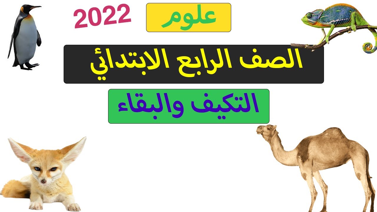 التكيفات التركيبية هي تغيرات في تراكيب الجسم الداخلية والخارجية