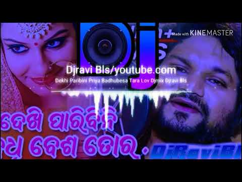 Dekhi Paridini Badhu Besa Tora Human Sagar Sad Song DJ