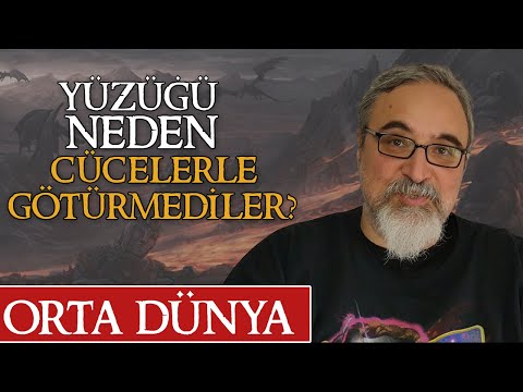 Yüzüğü Neden Cücelerle Götürmediler? Kitap Yazar Mıyım? Soru - Cevap