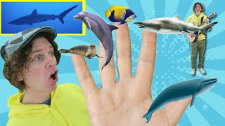 family finger song sea creatures with matt nursery rhymes childrens song learn english