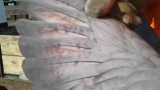 Chinese 'surveillance pigeon' captured near Kazakhsan
