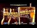 Miguel Angel y Su Grupo Cariño Mix 2020 Sus Mejores Exitos (Dj Gato) - Evolution Records