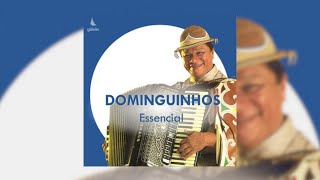 Dominguinhos feat. Geraldo Azevedo - &quot;Canta Luiz&quot;