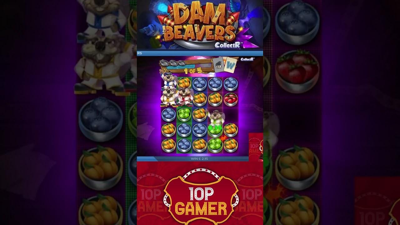 Beaver Night FEVER on Dam Beavers!