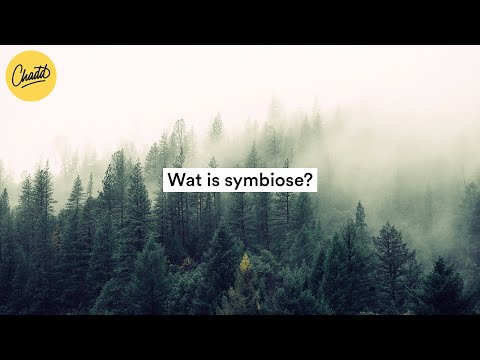 Video: Wat beteken kommensalisme-simbiose?
