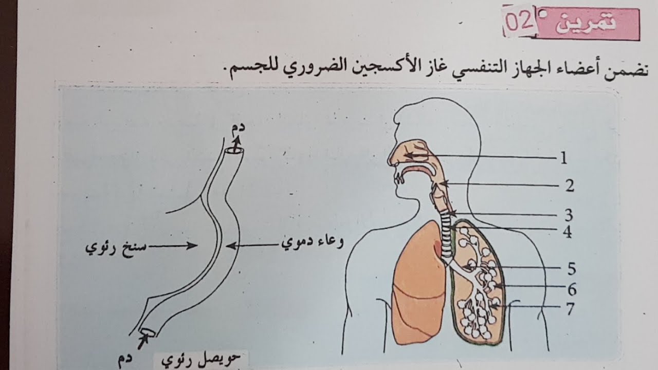 حل فرض الثلاثي الثاني علوم طبيعة و الحياة 1 متوسط