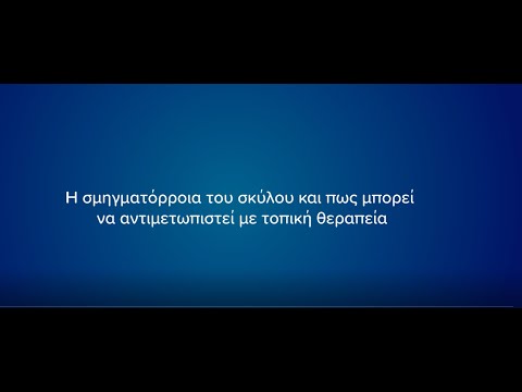 Η σμηγματόρροια του σκύλου και πώς μπορεί να αντιμετωπιστεί με τοπική θεραπεία