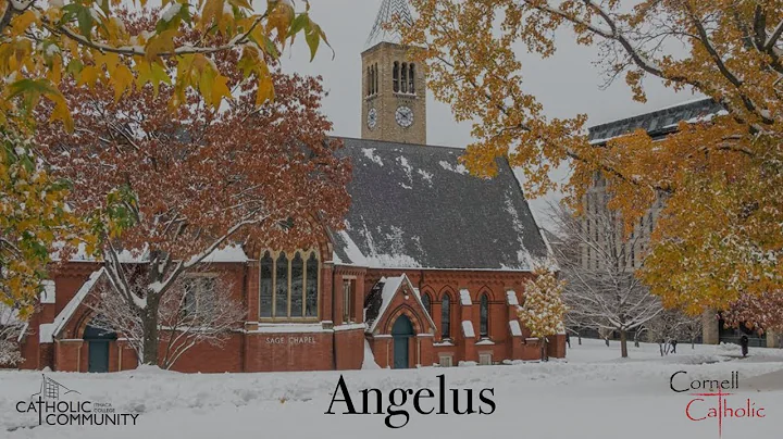Angelus with Father Daniel McMullin