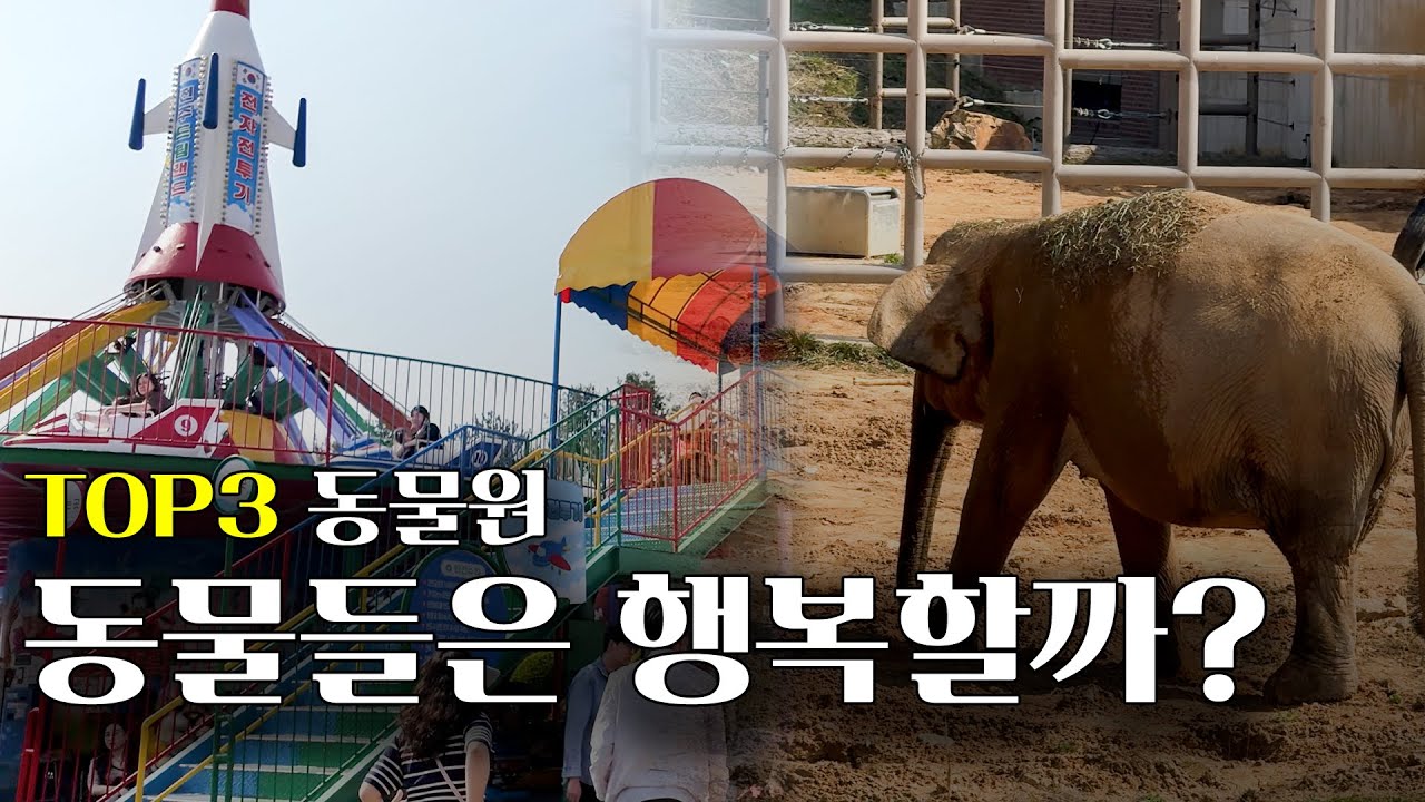 전주동물원, 그날 내가 본 것들_전주 동물원