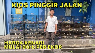 Harga Kenari Mulai 90rb Per ekor Di Kios Pinggir Jalan #kenari #kenarigacor #kenarimania 