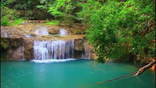 Video background alam air terjun, sungai, hutan dan pegunungan (No Copyright)