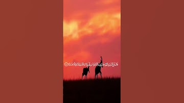 تلاوة طاهرة من سورة نوح#راحة_نفسية #القرآن_الكريم #تلاوة_خاشعة