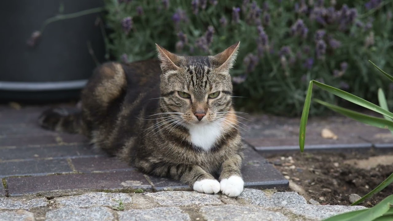 offene Gärten 2023