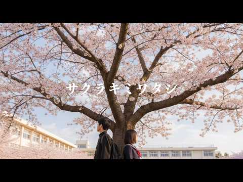 サクラキミワタシ - SAKURA KIMI WATASHI　[cover]
