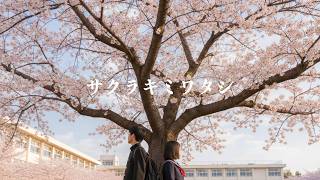   Sakura Kimi Watashicover