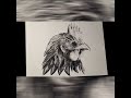 Charcoal Speed Drawing   Finishing the Rooster