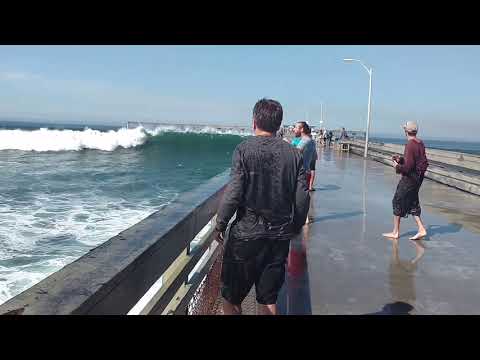 Big Wave Wets Tourist Funny