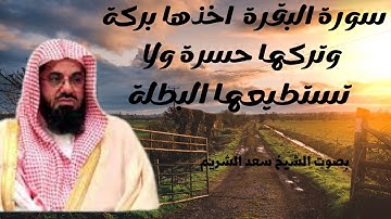 سورة البقرة اخذها بركة وتركها حسرة ولا تستطيعها البطلة