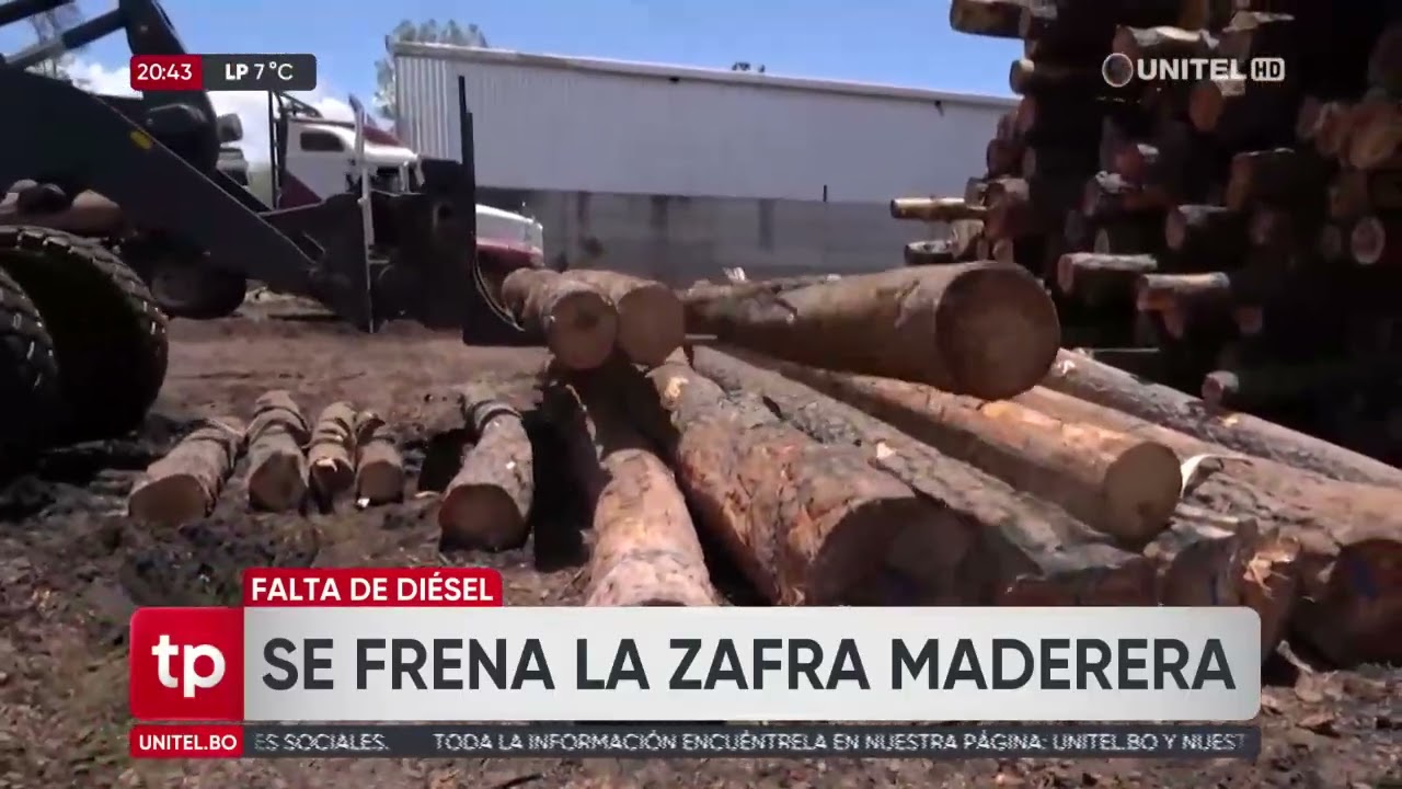 Zafra maderera continúa paralizada por falta de diésel, advierte la Cámara Forestal de Bolivia