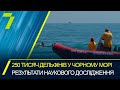 Щонайменше 250 тисяч дельфінів живуть у Чорному морі Щонайменше 250 тисяч дельфінів живуть у Чорному морі