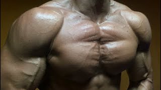 How To Get a Bigger Chest! (Home Workout) Bar Brothers