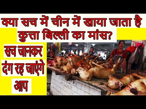 क्या सच में चीन में खाया जाता है कुत्ता बिल्ली का मांस? truth of China.