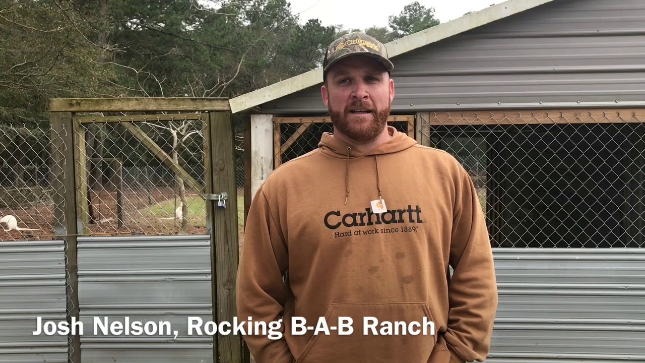 newspaper Rocking B-A-B Ranch in DeFuniak Springs: Peafowl, lemurs and wallabies, oh my!