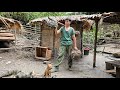 live alone in the woods, move the chickens to shelters to avoid dangerous reptiles and wild animals