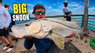 Fishing for Big Snook Sebastian Inlet