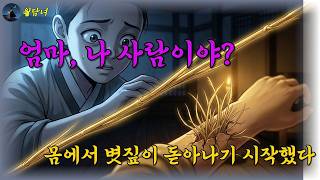 [공포야담]'엄마, 나 사람이야?' — 제웅이 되어가는 아들을 살린 어미의 마지막 선택ㅣ야담 옛날이야기 오디오북 수면동화 전설 설화 민담