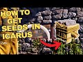 3 Easy Ways to Find Seeds in Icarus 2026!