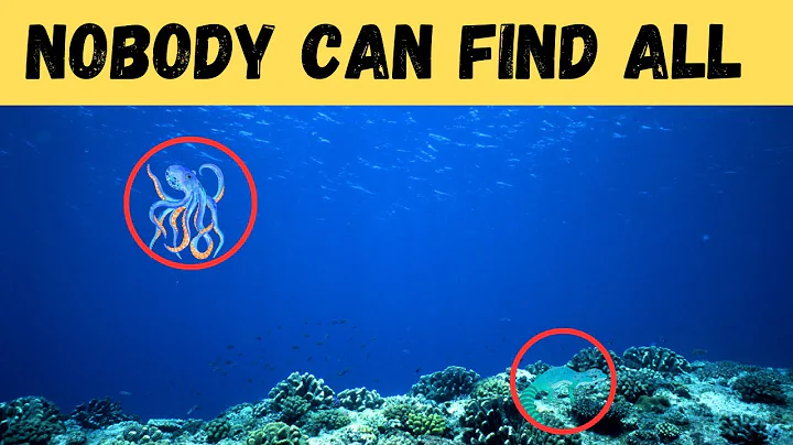 Can You Find Hidden Animals in Pictures? 🕵️‍♂️🔍