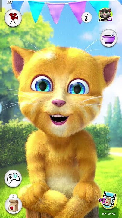 9 din Bani man dulhaniya re