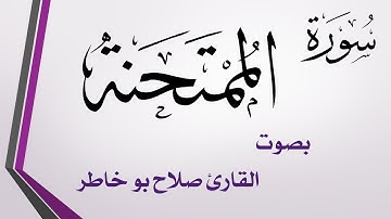 060 سورة الممتحنة .. صلاح بو خاطر